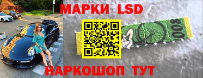 прущие грибы Будённовск