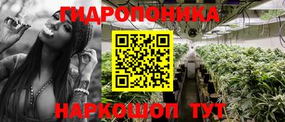 дмт Гай