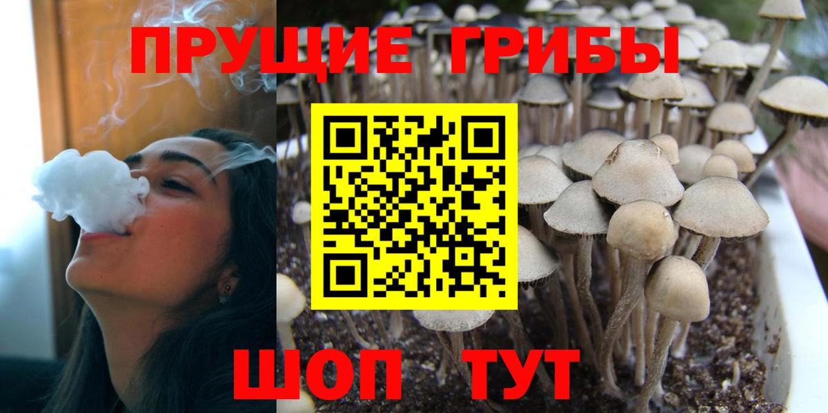 Галлюциногенные грибы Magic Shrooms Саранск